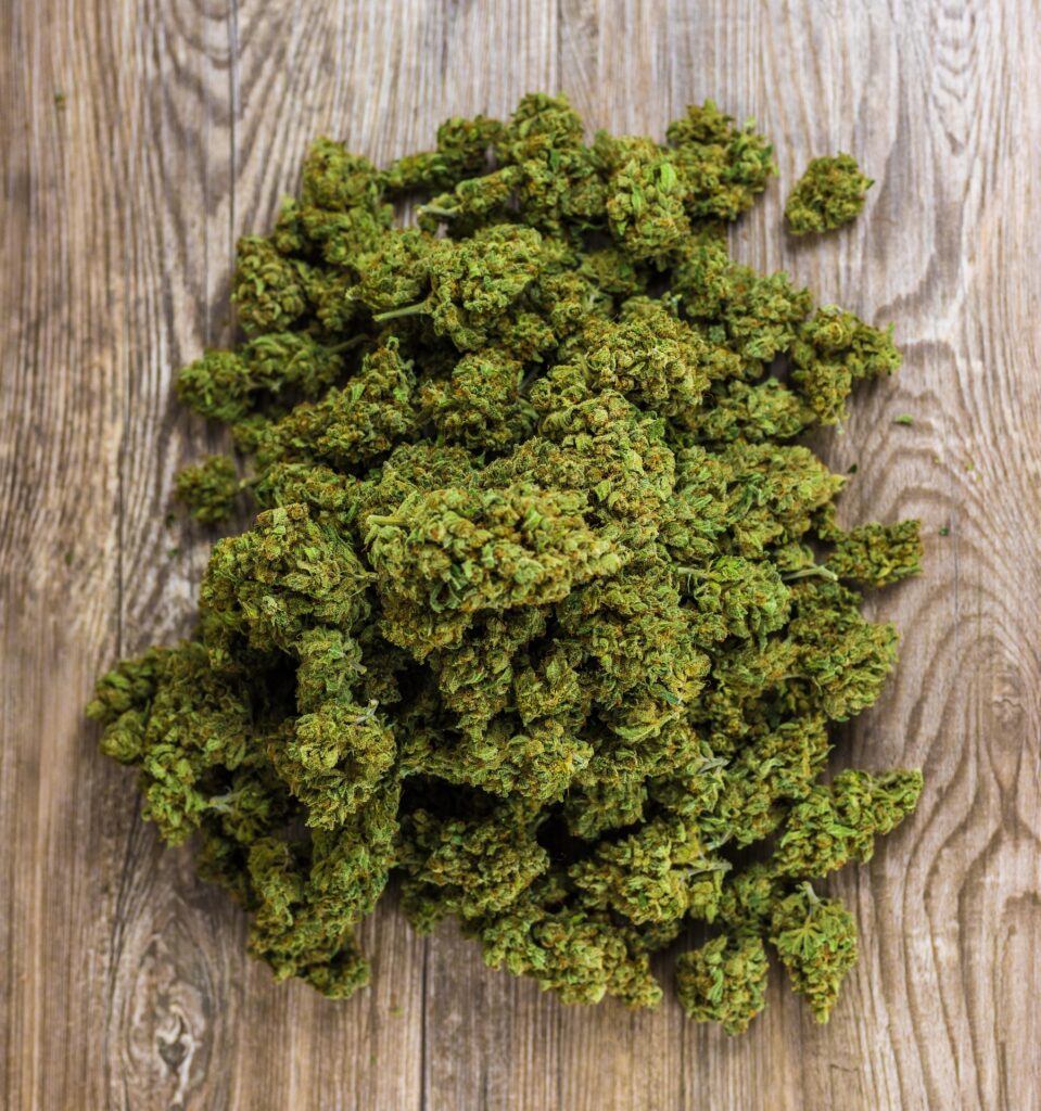Fleur de CBD puissante et aromatique – concentré naturel à effet fort et relaxant