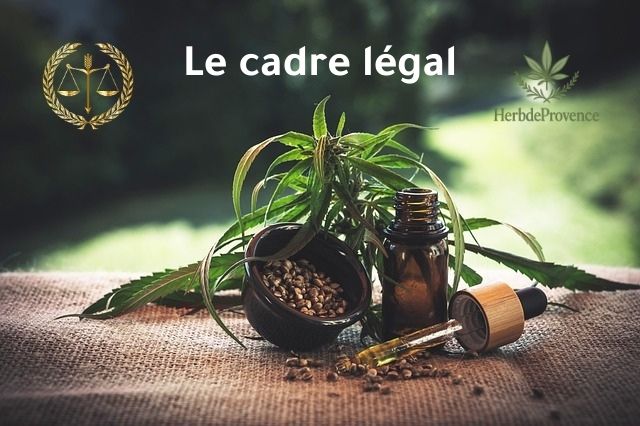 CBD en France : Ce que dit la loi en 2025 sur la vente légale de cannabidiol